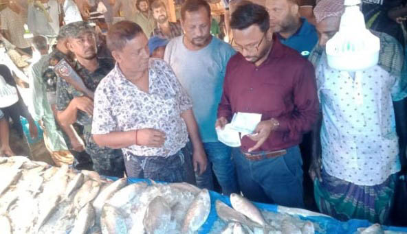 ইলিশের আড়তে অভিযান, ২০ হাজার টাকা জরিমানা